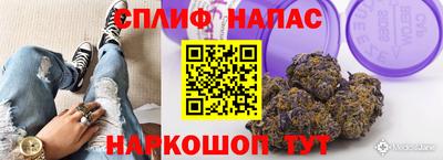 крисы Будённовск