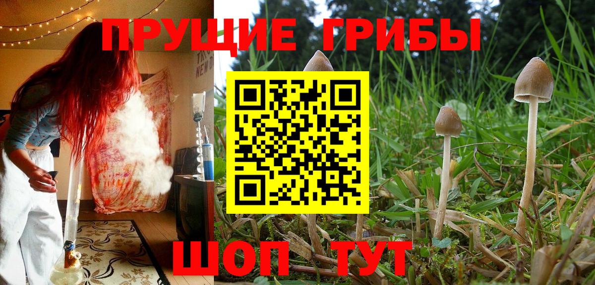 Галлюциногенные грибы мухоморы Мытищи