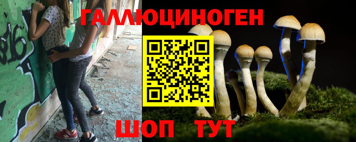 Мытищи  Псилоцибиновые грибы Psilocybine cubensis  Вход с VPN  Галлюциногенные грибы Magic Shrooms 